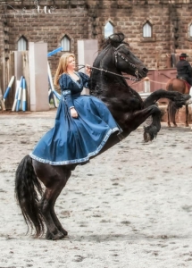 VALIANT - BLACK FRIESIAN STALLION, current World Jousting Champion, Trick Trained, can jump over fire