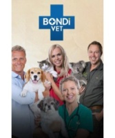 Bondi vet